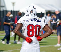 Andre Johnson