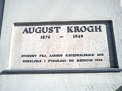 August Krogh