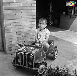 Ayrton Senna FAQs 2017- Facts, Rumors and the latest Gossip.