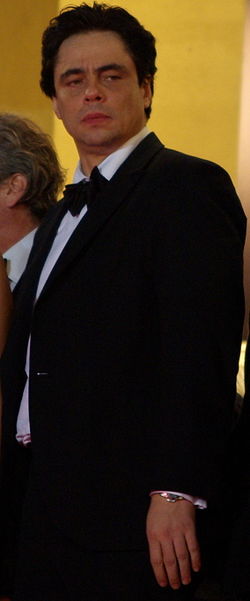 Benicio del Toro