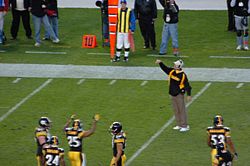 Bill Cowher