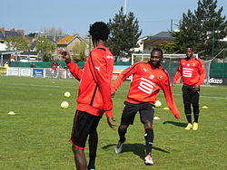 Cheick Fantamady Diarra