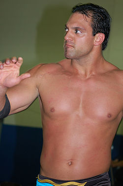 Damien Sandow