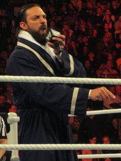 Damien Sandow