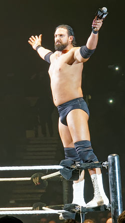 Damien Sandow