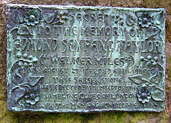 Edmund Seyfang Taylor