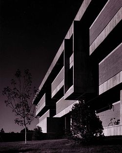 Eugene Sternberg
