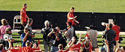 Fabio Borini