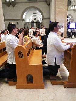 Franklin Drilon