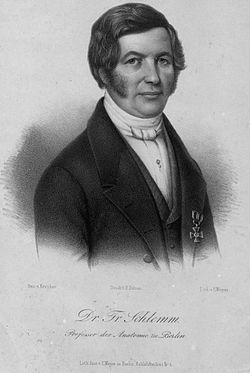 Friedrich Schlemm