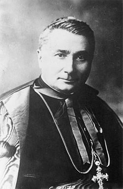 Gaetano Bisleti