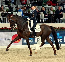 Helen Langehanenberg