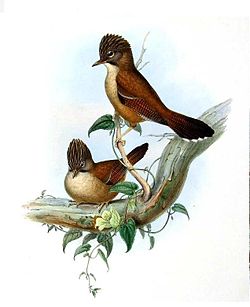 John Gould