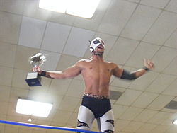 Lince Dorado