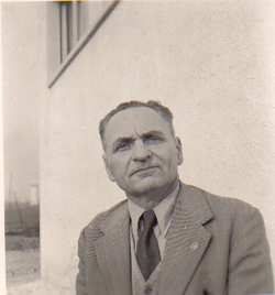 Luigi Fenaroli