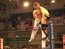 Milano Collection A.T.