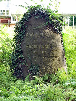 Adolf Engler