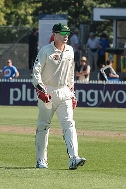 Brad Haddin