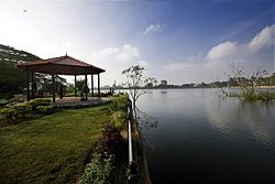 C.N. Ashwath Narayan