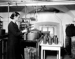 Florence Meier Chase