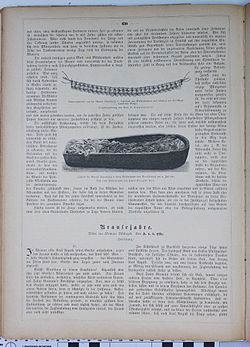 Georg August Schweinfurth