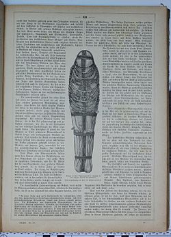 Georg August Schweinfurth