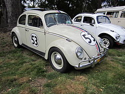 Herbie