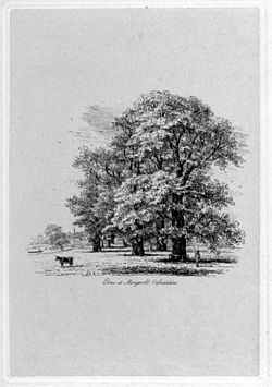 Jacob George Strutt