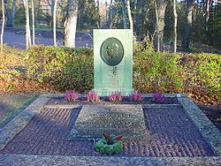 Johan Petter Johansson