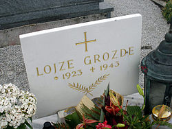 Lojze Grozde