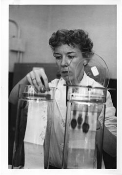 Mary Alice McWhinnie